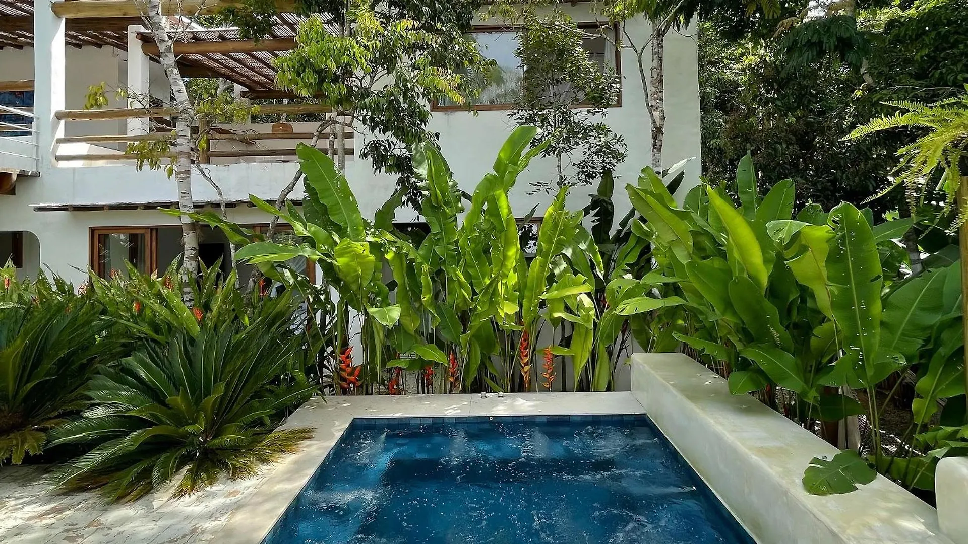 Villa Alba By Bemvilla - Design, Piscina E Jacuzzi Em Trancoso Porto Seguro Holiday home